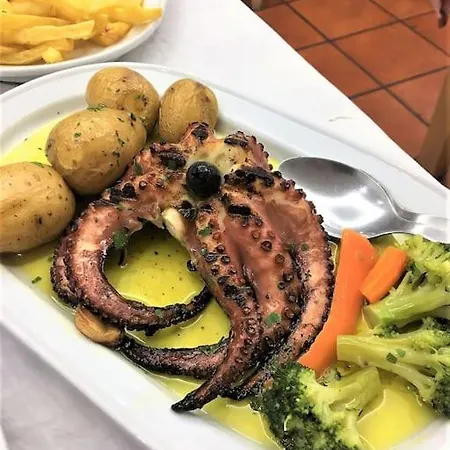 Met Het Rustige Salgado Op Wandelafstand